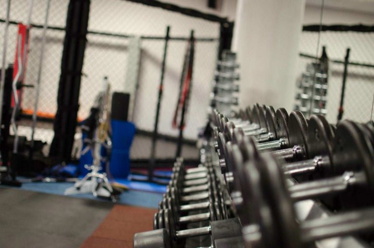 Sportangebot Warriors Martial Arts Team